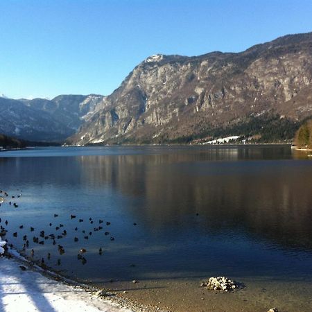 Bistrica 1 Lejlighed Bohinj Eksteriør billede