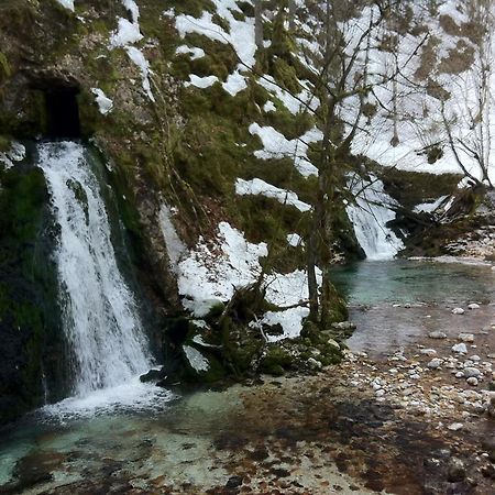 Bistrica 1 Lejlighed Bohinj Eksteriør billede