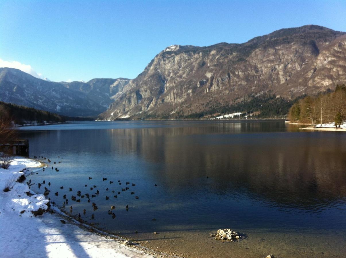 Bistrica 1 Lejlighed Bohinj Eksteriør billede
