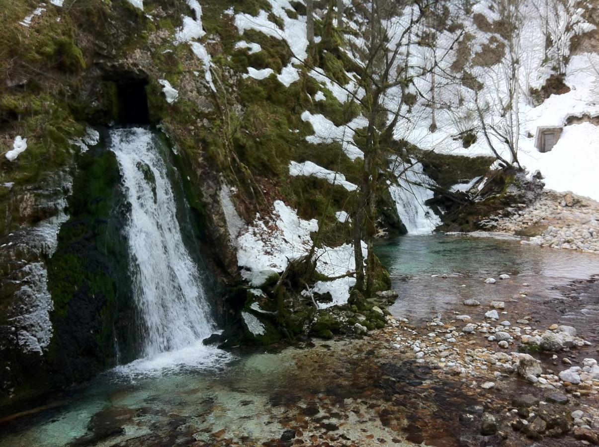 Bistrica 1 Lejlighed Bohinj Eksteriør billede